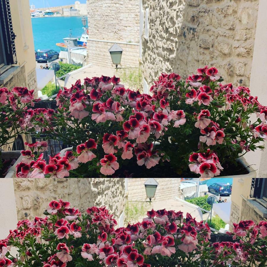 La Banchina Holiday Rooms Trani Bagian luar foto